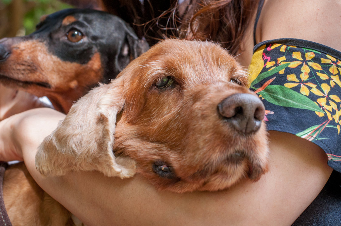 Renata Roma with two dogs.