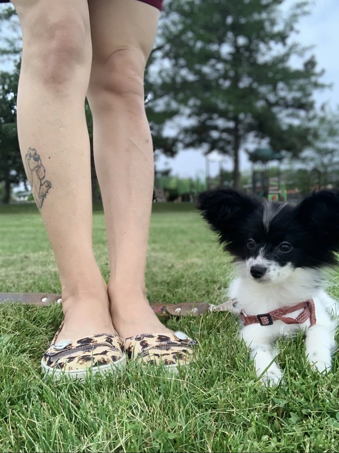 woman and a puppy. Representing anxiety related to pets and the human-animal bond